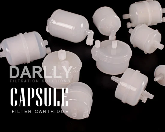 Darlly PTFE PP Pes Capsule Filter 1 Micron for Micro-Electronics